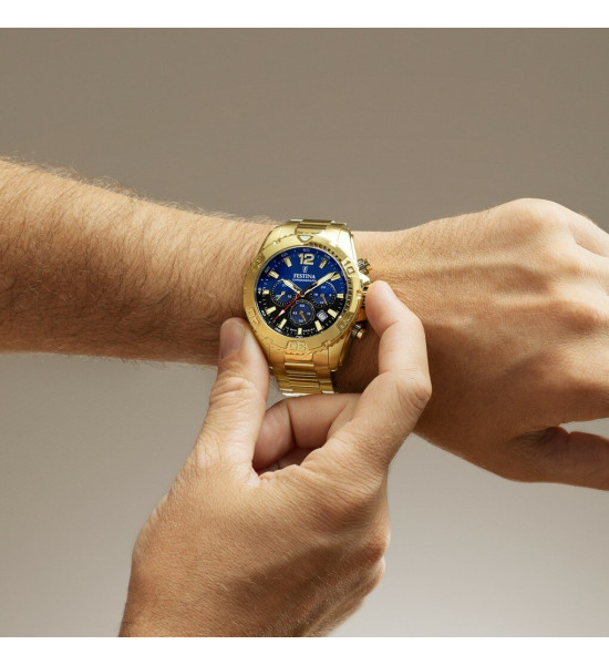 Festina FESTINA F20684/2 TIMELESS CHRONOGRAPH ERKEK KOL SAATİ