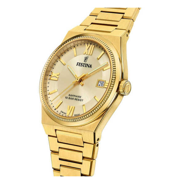 FESTINA SWISS FESTINA SWISS F20038/2 ERKEK KOL SAATİ