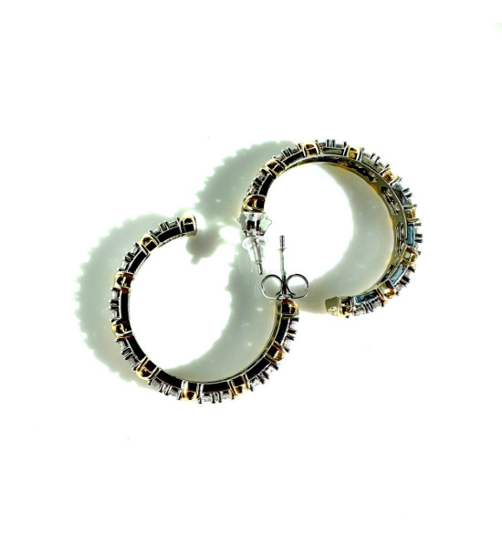 ALC Collection Gold Detaylı Halka Gümüş Kaplama Zirkon Çelik Kadın Küpe