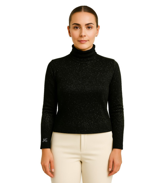 ALC Collection Uzun Kollu Simli Dik Yaka Bluz (Siyah)