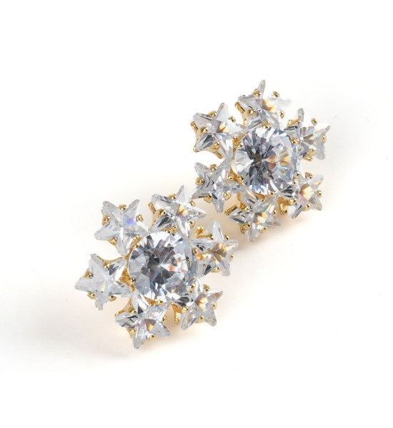 ALC Collection Yıldız Şema Tasarım Zirkon Detay Çelik Küpe