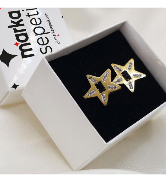 ALC Collection Yıldız Tasarım Zirkon Detaylı Altın Kaplama Kadın Küpe