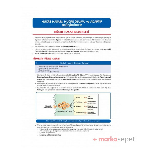 Komite Patoloji Konu (4.Baskı) - Tusdata (Fakülte / Komite ve Modül Sınavlarına Özel)