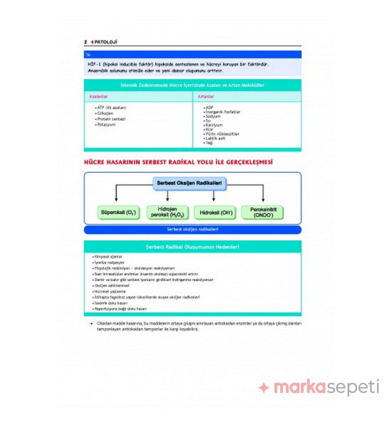 Komite Patoloji Konu (4.Baskı) - Tusdata (Fakülte / Komite ve Modül Sınavlarına Özel)