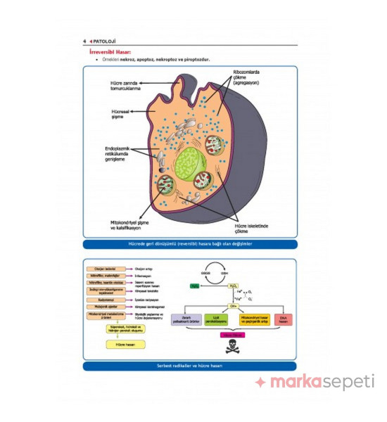 Komite Patoloji Konu (4.Baskı) - Tusdata (Fakülte / Komite ve Modül Sınavlarına Özel)